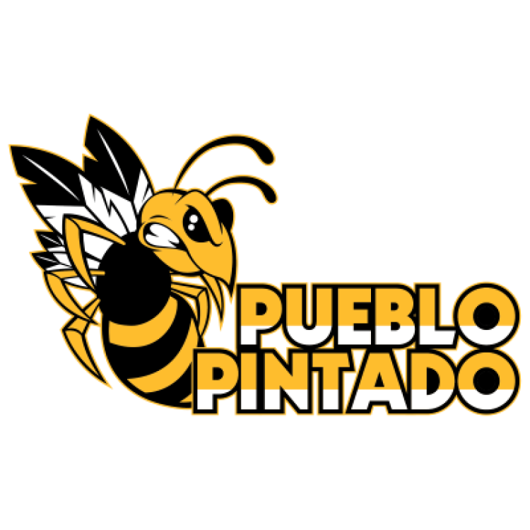 Pueblo Pintado hornets logo